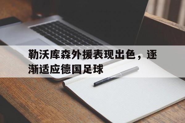关于勒沃库森外援表现出色,逐渐适应德国足球的信息